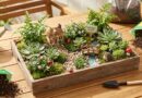 Beautiful Tray Garden Art | Mini Garden DIY at Home